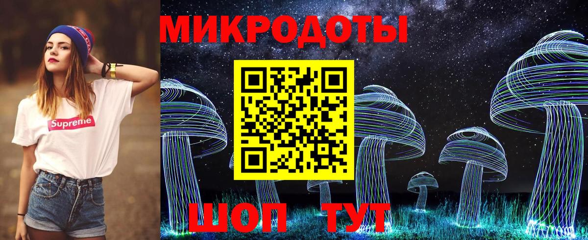 Славгород  купить наркоту  Вход с VPN  Псилоцибиновые грибы прущие грибы 
