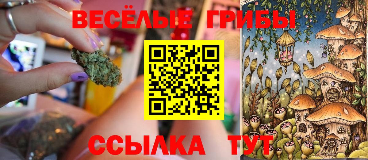 Галлюциногенные грибы мицелий Славгород